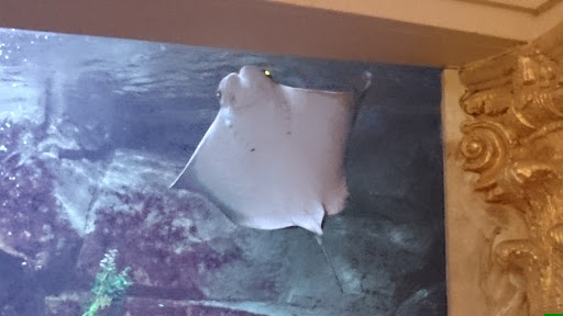 Computer Store «Apple The Forum Shops», reviews and photos, 3500 S Las Vegas Blvd, Las Vegas, NV 89109, USA