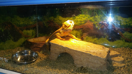 Pet Store «Fins Feathers Paws Claws», reviews and photos, 201 Station Rd, Quakertown, PA 18951, USA