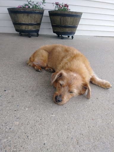 Golf Course «Goodwin Park Golf Course», reviews and photos, 1130 Maple Ave, Hartford, CT 06114, USA