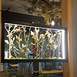 Photo n°5 de l'avis de Veronica.a fait le 12/02/2023 à 10:04 sur le  BOSCO - osteria Abruzzese Pigneto Roma à Rome