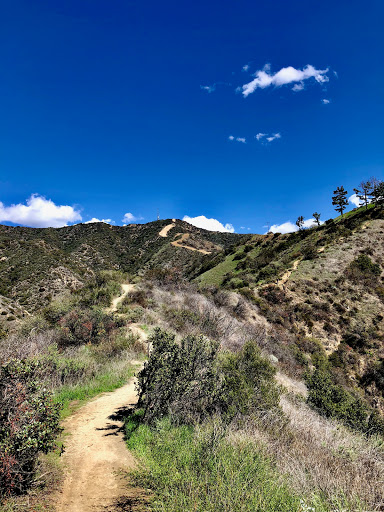Brand Library Hiking Trail