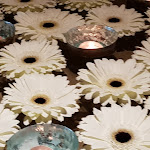 Photo n°6 de l'avis de Marita.l fait le 07/03/2022 à 06:39 sur le  A-ROSA Travemünde à Lübeck