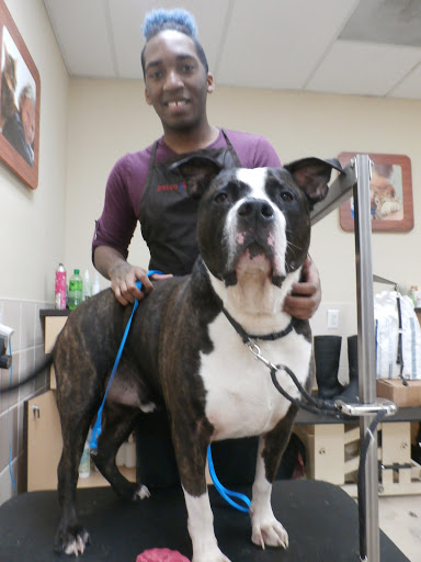 Pet Supply Store «Petco Animal Supplies», reviews and photos, 1065 Kennedy Rd, Windsor, CT 06095, USA