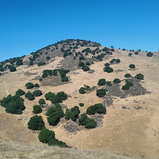 Nature Preserve «Brushy Peak Regional Preserve», reviews and photos, Laughlin Rd, Livermore, CA 94551, USA