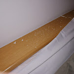 Photo n°1 de l'avis de Beatrix. fait le 09/10/2019 à 16:52 sur le  Hotel Irma à Folgaria