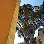 Photo n°1 de l'avis de sergio.l fait le 28/04/2022 à 21:31 sur le  Panificio Maccarini à San Rocco