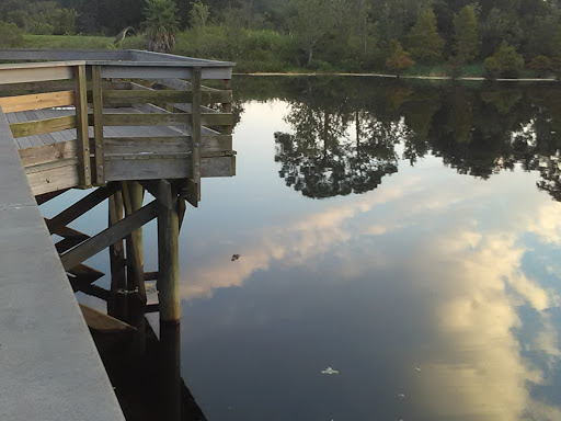 Park «Kapok Park», reviews and photos, 2950 Glen Oak Ave N, Clearwater, FL 33759, USA