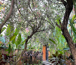 Papillon Umalas Villas photo