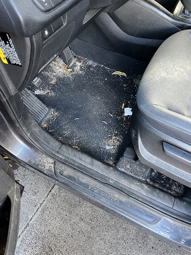 Car Wash «Big City Car Wash», reviews and photos, 1785 Wells Rd, Orange Park, FL 32073, USA