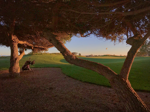 Public Golf Course «Chuck Corica Golf Complex», reviews and photos, 1 Clubhouse Memorial Rd, Alameda, CA 94502, USA