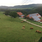 Photo n°13 de l'avis de Gal.a fait le 29/08/2017 à 04:04 sur le  Café Pfaus Heidburg à Mühlenbach