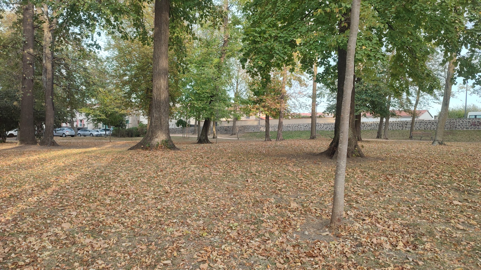 Photo n° 2 de l'avis de Murat.� fait le 29/10/2022 à 15:59