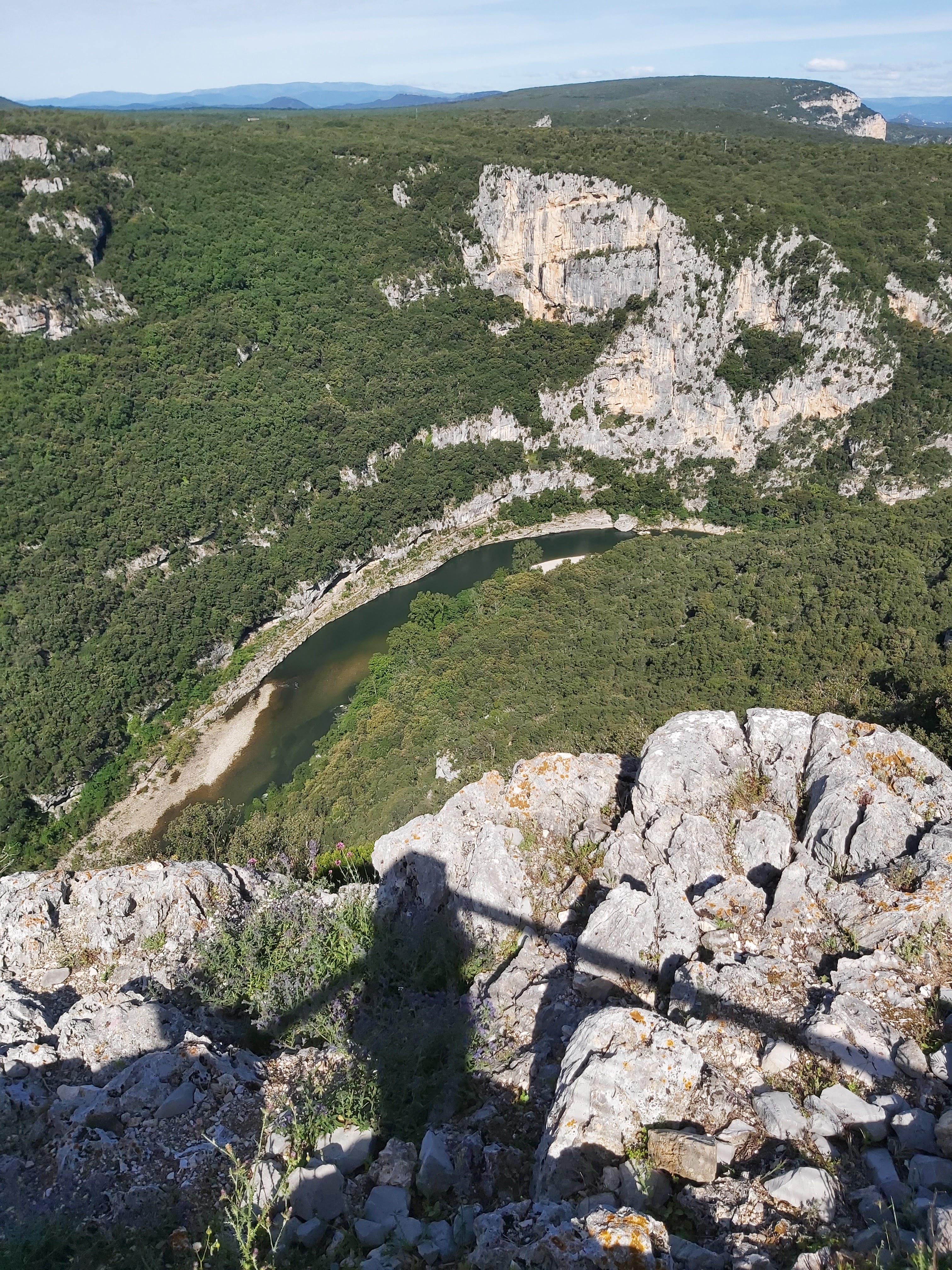 Photo n° 1 de l'avis de vero.e fait le 16/06/2021 à 04:16