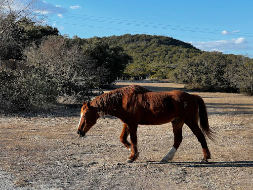 Dude Ranch «West 1077 Guest Ranch», reviews and photos, 9061 Bandera Creek Rd, Bandera, TX 78003, USA
