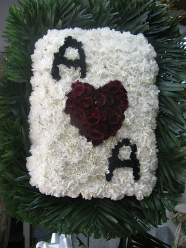 Plant Nursery «A & S Whitestone Nursery», reviews and photos, 2302 Francis Lewis Blvd, Whitestone, NY 11357, USA