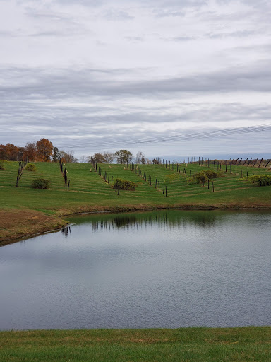 Winery «Monkey Hollow Winery», reviews and photos, 11534 E County Road 1740 N, St Meinrad, IN 47577, USA