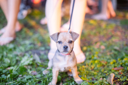 Outdoor Sports Store «Clear Water Outdoor - Lake Geneva», reviews and photos, 744 W Main St, Lake Geneva, WI 53147, USA