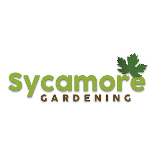 Reviews of Sycamore Gardening in Hull - Landscaper