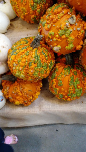 Grocery Store «H-E-B Grocery», reviews and photos, 3502 Palmer Hwy, Texas City, TX 77590, USA