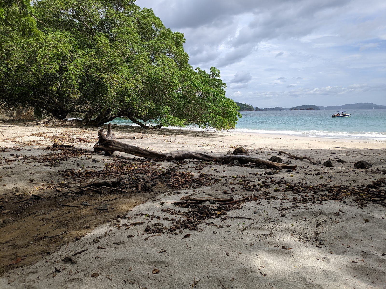 Foto van Playa Celeste met hoog niveau van netheid