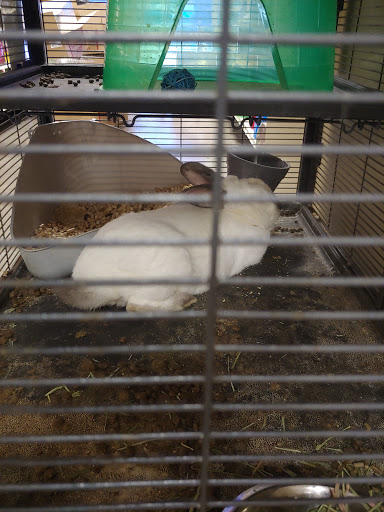 Pet Supply Store «PetSmart», reviews and photos, 7290 W Bell Rd, Glendale, AZ 85308, USA