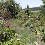 Photo n°3 de l'avis de German.i fait le 27/06/2021 à 11:52 sur le  Golfhotel Bodensee à Weißensberg