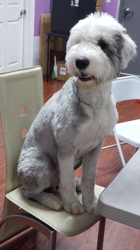 Tobacco Shop «Elite Smoke Shop», reviews and photos, 2458 U.S. 9, Howell, NJ 07731, USA