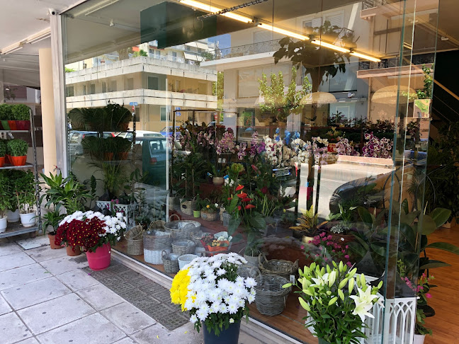 Αδαμόπουλος Γιάννης Flowers Deco Eshop