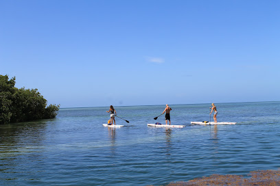 Geiger Key Paddle Hut / Key West Eco Tours