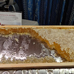 Photo n°3 de l'avis de Raffaele.u fait le 26/01/2020 à 23:12 sur le  Hotel Interalpen - Mountain Resort à Foscagno