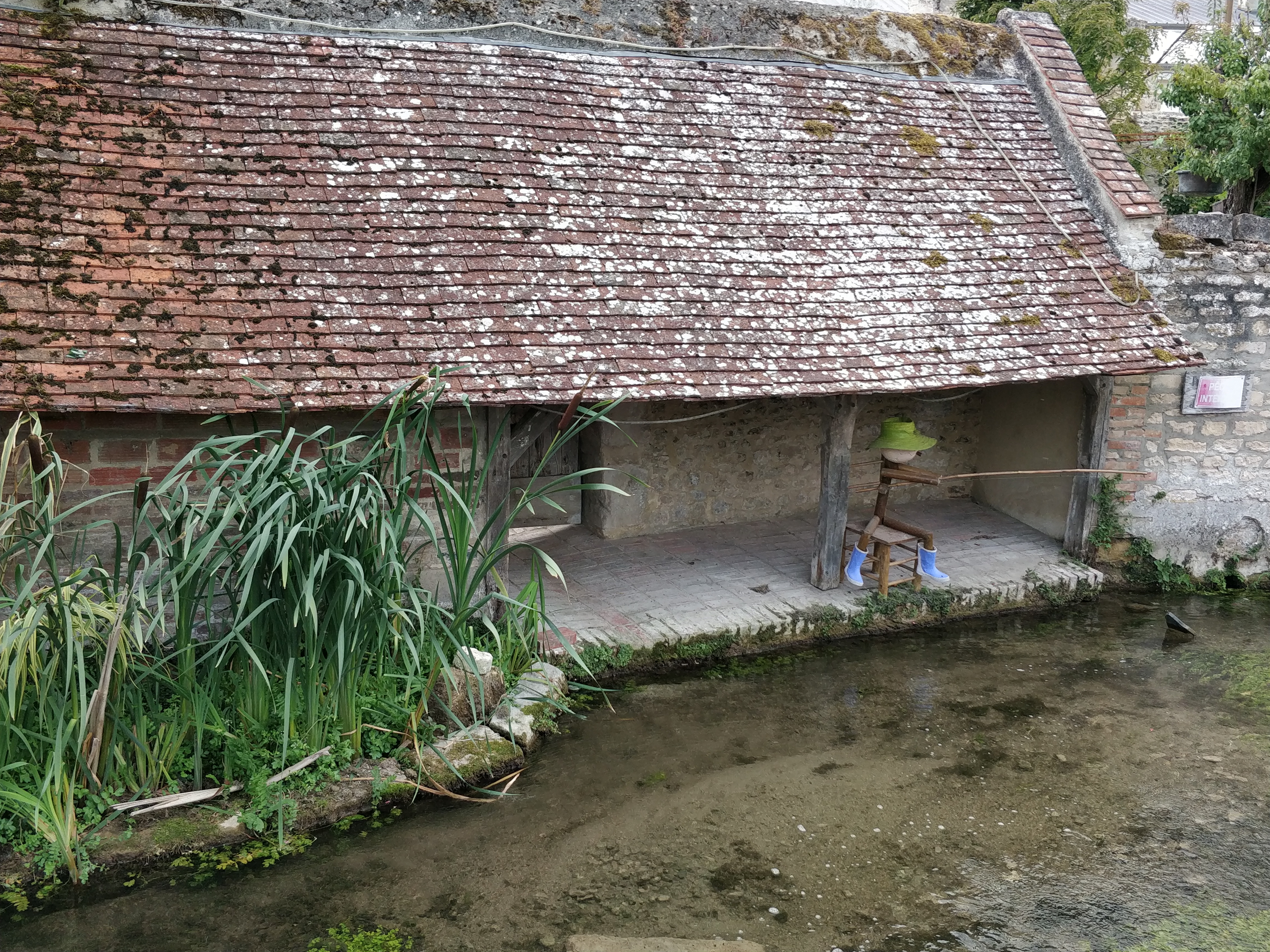 Photo n° 3 de l'avis de Thièm. fait le 10/08/2019 à 20:31