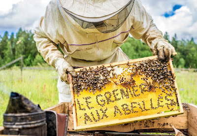 Le grenier aux abeilles à Méjannes-lès-Alès