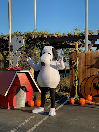 Kid's Birthday Party Characters! - Photo 7 - Car repair in , Santa Cruz