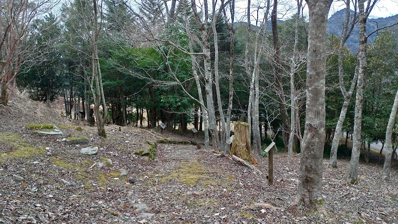 21世紀の森・紀伊半島森林植物公園
