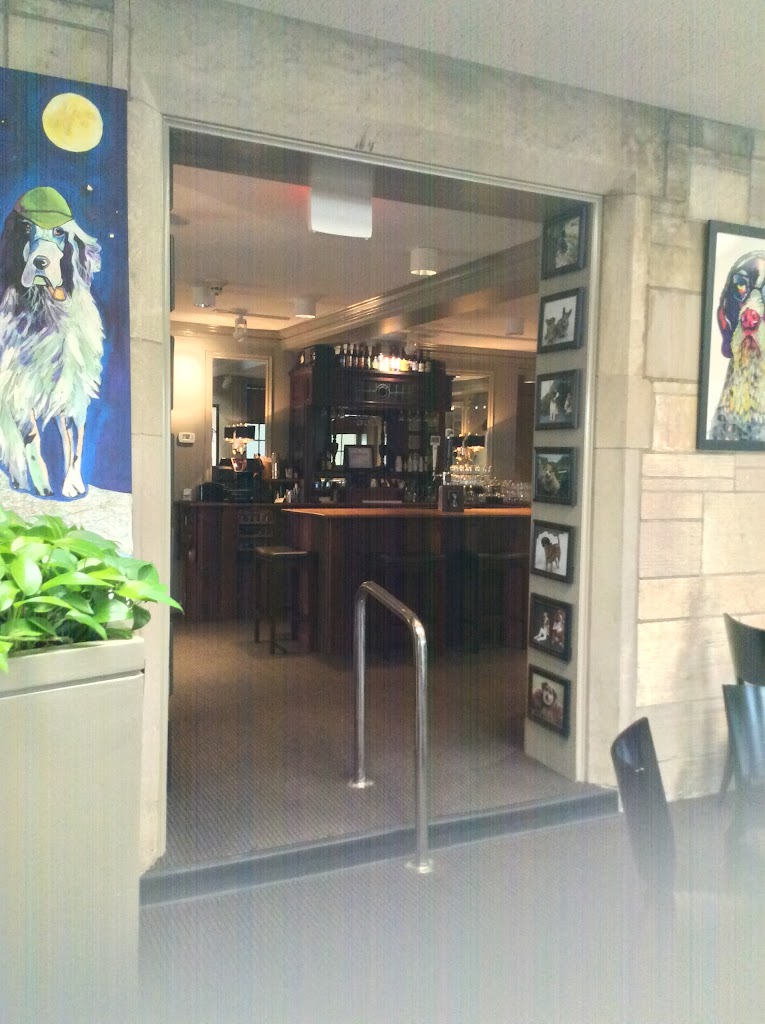 Brown Hound Downtown Rochester, NY 14607 Menu, Hours, Reviews and