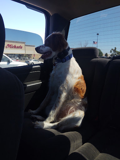 Pet Supply Store «PetSmart», reviews and photos, 1630 13th Ave E, West Fargo, ND 58078, USA