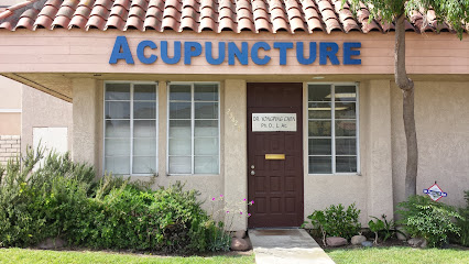 Yong Ping Chen, Acupuncturist