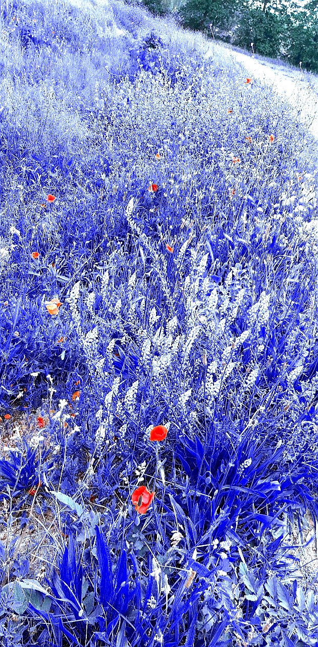 Photo n° 16 de l'avis de Lore.e fait le 24/05/2020 à 16:12