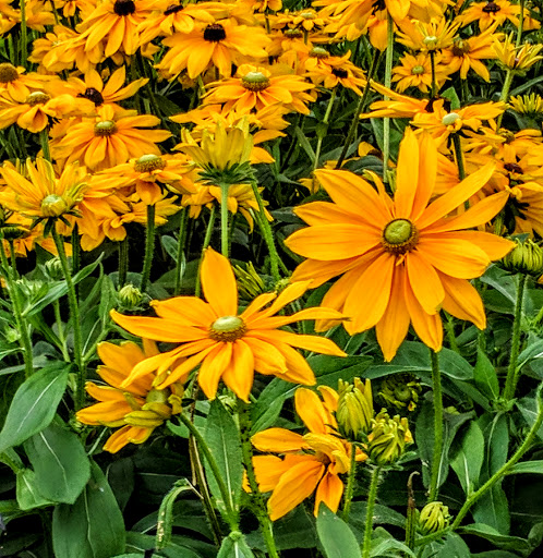 Gift Shop «Unglued», reviews and photos, 408 Broadway N, Fargo, ND 58102, USA