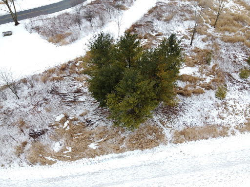 Nature Preserve «Meacham Forest Preserve», reviews and photos, Circle Ave, Bloomingdale, IL 60108, USA