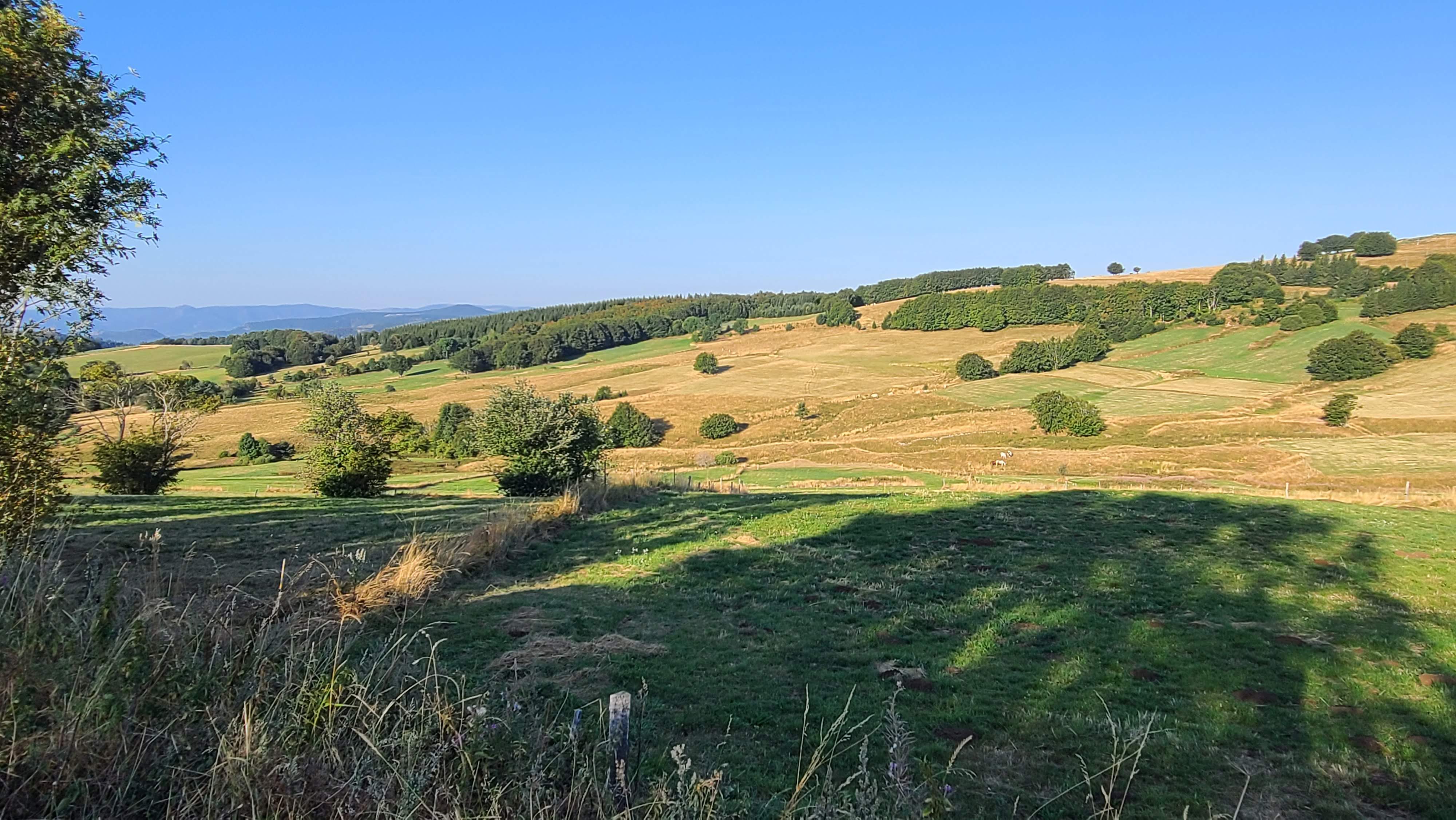 Photo n° 5 de l'avis de Seb.E fait le 24/08/2023 à 21:56