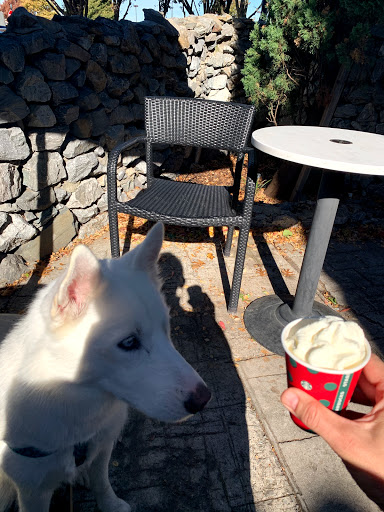 Coffee Shop «Starbucks», reviews and photos, 6841 Virginia Pkwy, McKinney, TX 75071, USA