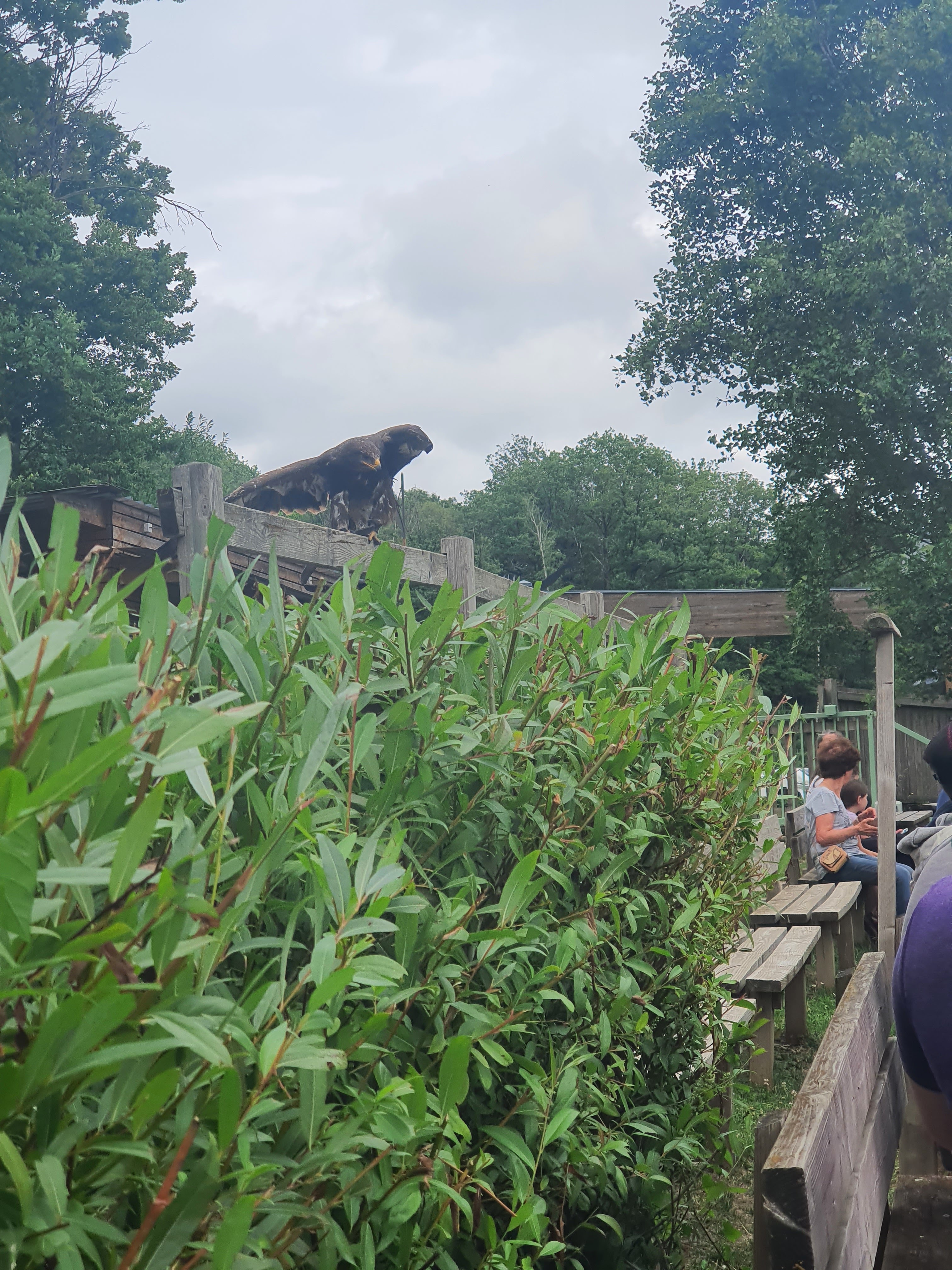 Photo n° 11 de l'avis de Mickael.e fait le 15/07/2023 à 13:18