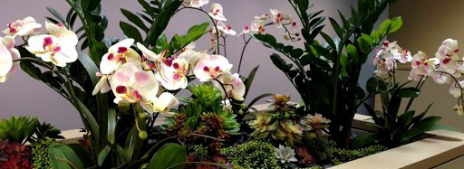 Artificial plant supplier Costa Mesa