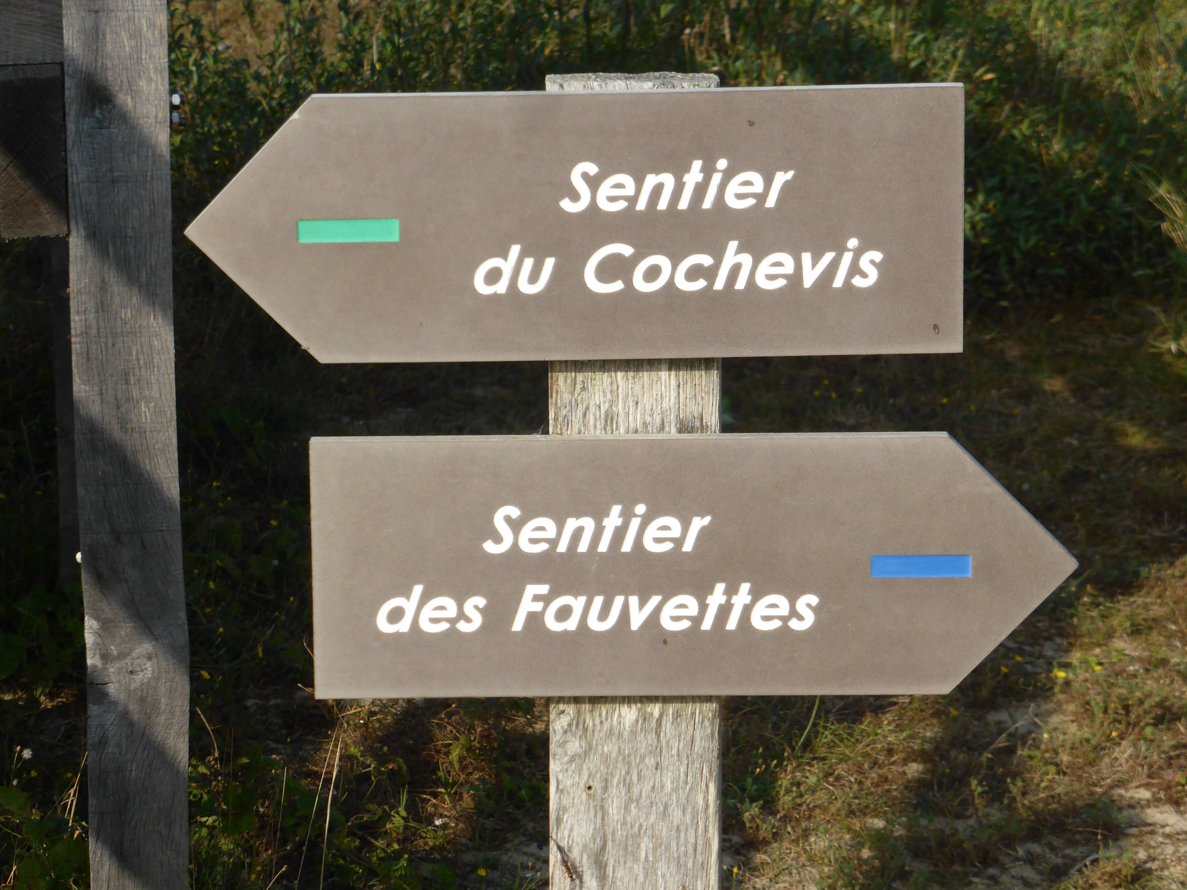 Photo n° 8 de l'avis de Joseph.a fait le 01/10/2021 à 15:40
