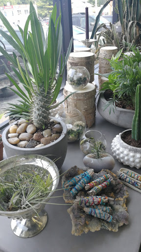 Florist «Galleria Florist», reviews and photos, 7187 Lee Hwy, Falls Church, VA 22046, USA