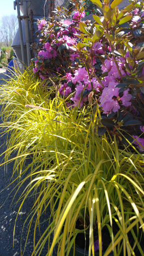 Garden Center «Copia Home and Garden», reviews and photos, 475 Smith Ridge Rd, South Salem, NY 10590, USA