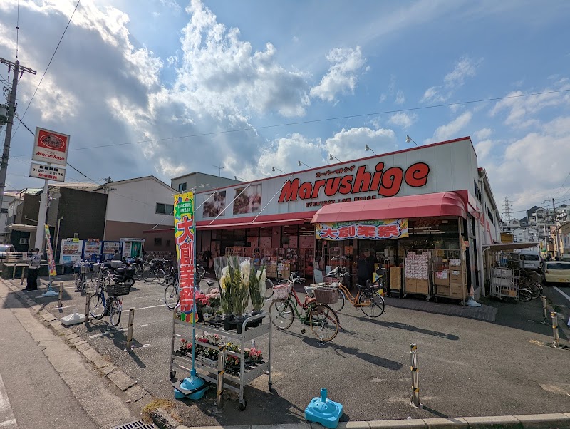 マルシゲ島之内店