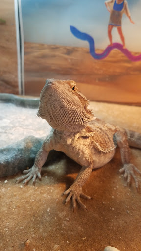 Pet Store «PetSmart», reviews and photos, 14903 4th Ave SW Ste 200, Burien, WA 98166, USA