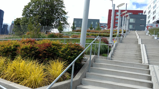 Restaurant «Pacific Rim Center», reviews and photos, 900 S Jackson St # 216, Seattle, WA 98104, USA